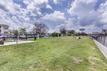 1/2 Acre leash-free dog park